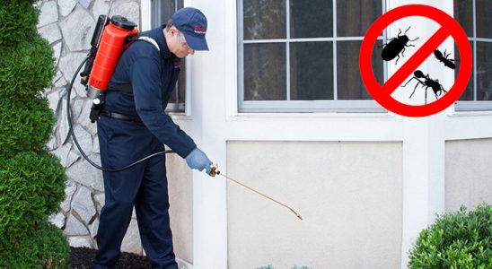 Osmancık Bit İlaçlama böcek ilaçlama ve haşere kontrolü — ilaclama-tr.com